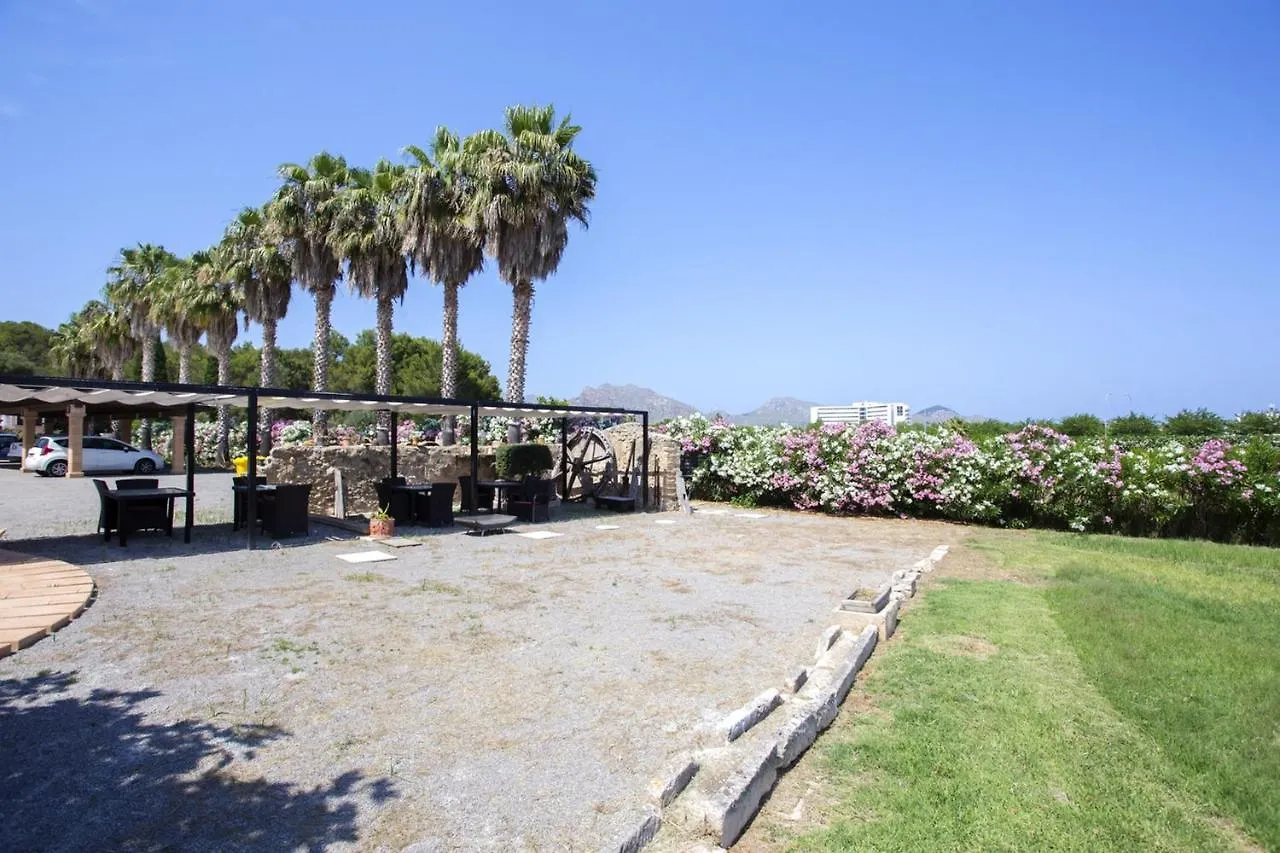 Spacious Apartment In Pollenca With Mountain View